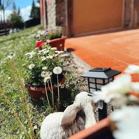 Apartment Cel I Fusta